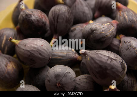 Plateau avec quelques figues noires fraîchement cueilli de l'arbre en été Banque D'Images