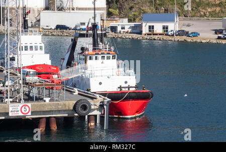 Picton, Nouvelle-Zélande - 25 août, 2017 : Quai Waitohi est un quai doigt principalement été utilisé au roll on-roll off les bateaux et navires de croisière Banque D'Images