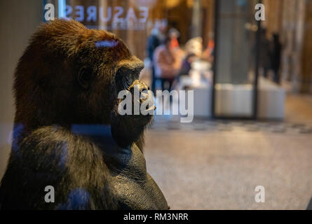 Le Natural History Museum, London, UK Banque D'Images