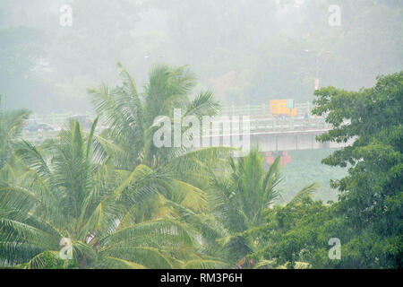 Pluie de mousson et temps brumeux, palmiers qui balancent dans le vent, pont Rajaram, Pune, Maharashtra, Inde, Asie Banque D'Images