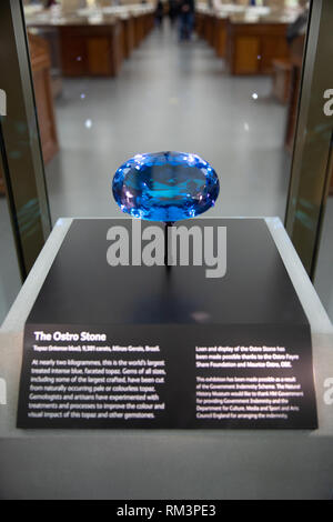 L'Ostro Pierre, sur l'affichage au Natural History Museum, London, UK Banque D'Images