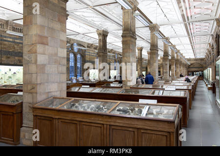 Le prix des minéraux au Natural History Museum, London, UK Banque D'Images