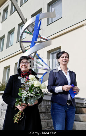 Le Président de l'Académie des sciences tchèque Eva Zazimalova (à gauche) et de l'Institut de biophysique de l'Académie des sciences tchèque de Brno Eva Bartova directeur a dévoilé la nouvelle statue de modèle d'ADN de l'Institut à l'extérieur, la République tchèque, le mercredi 13 février, 2019. (CTK Photo/Monika Hlavacova) Banque D'Images