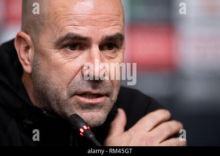 13 février 2019, la Russie, Krasnodar : Peter Bosz, entraîneur du Bayer 04 Leverkusen, prend la parole lors d'une conférence de presse dans le stade. Leverkusen jouera FK Krasnodar demain dans le cycle intermédiaire de l'Europa League. Photo : Marius Becker/dpa Banque D'Images