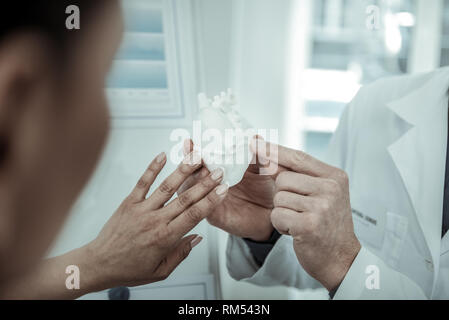 Paire de gypse de cardiologues holding modèle d'homme, coeur Banque D'Images