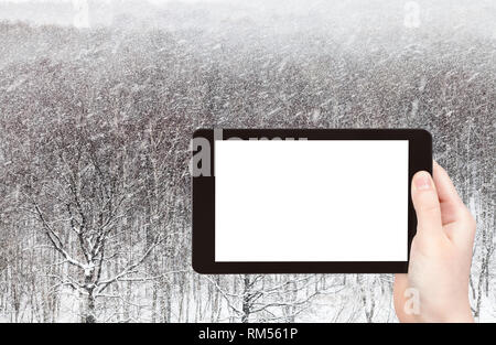 Travel Concept - photos touristiques de tempête de plus de bois dans le parc de la ville en hiver dans la ville de Moscou sur smartphone Avec écran découpe vide vide avec p Banque D'Images