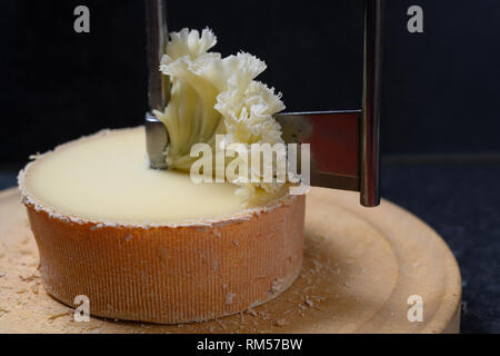 Tête de Moine ou fromage du moine dans une girolle, un couteau spécial pour couper en copeaux légers sous forme de rosettes, dark slate, arrière-plan, de mise au point sélectionnée nar Banque D'Images