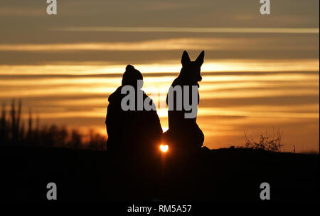 Toucher une photo d'un petit garçon et un chien de la race Berger Belge Malinois sur l'arrière-plan d'un beau coucher du soleil Banque D'Images