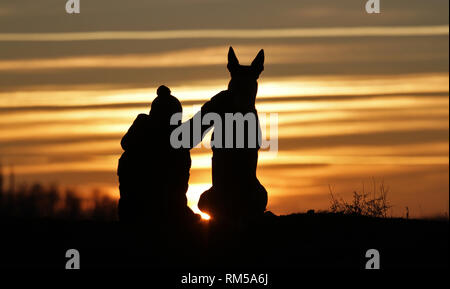 Toucher une photo d'un petit garçon et un chien de la race Berger Belge Malinois sur l'arrière-plan d'un beau coucher du soleil Banque D'Images