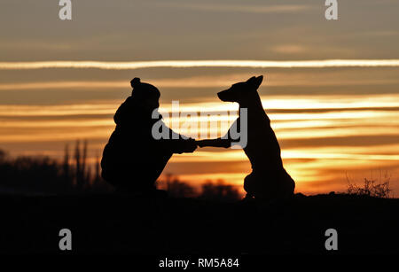 Toucher une photo d'un petit garçon et un chien de la race Berger Belge Malinois sur l'arrière-plan d'un beau coucher du soleil Banque D'Images