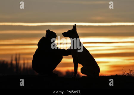 Toucher une photo d'un petit garçon et un chien de la race Berger Belge Malinois sur l'arrière-plan d'un beau coucher du soleil Banque D'Images