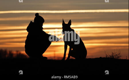 Toucher une photo d'un petit garçon et un chien de la race Berger Belge Malinois sur l'arrière-plan d'un beau coucher du soleil Banque D'Images