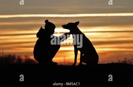 Toucher une photo d'un petit garçon et un chien de la race Berger Belge Malinois sur l'arrière-plan d'un beau coucher du soleil Banque D'Images