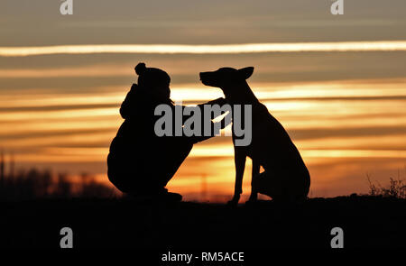 Toucher une photo d'un petit garçon et un chien de la race Berger Belge Malinois sur l'arrière-plan d'un beau coucher du soleil Banque D'Images