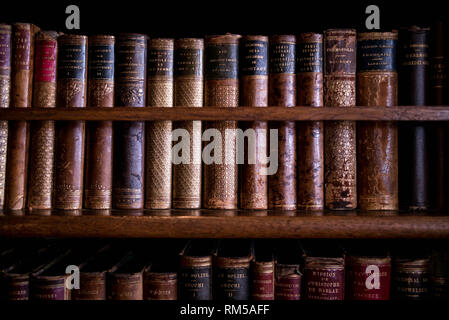 Livres reliés en cuir. La bibliothèque de Hatfield House. Banque D'Images