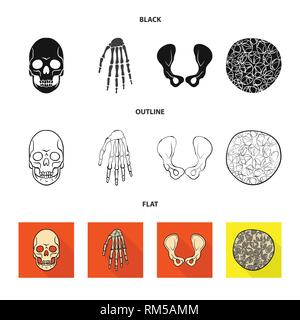 Crâne,poignet,ostéoporose de la hanche,la mort,main,,joints,cell,monster,bassin,calcium,tissus,le mal,chirurgie,structure,horreur,conjonctif,sain,bras,tatouage,cartilage,carpe,fémur,santé,tête,l'appareil locomoteur,eye,joints,rx,system,l'enfer,médecine, biologie médicale,clinique,os,squelette,anatomie,des,organes,,set,icône,,illustration,collection,isolé,design,graphisme,élément vecteur vecteurs,signer , Illustration de Vecteur