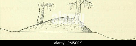 . Rapport annuel du Conseil d'administration de la Smithsonian Institution. Smithsonian Institution, Smithsonian Institution. Archives ; découvertes de la science. Fig. 2.-Mound no 3-à uortli (1 et 2  = 4 : les arbres, 4 =:poterie. Mound n° 3 est un ujion près de buttes son bord. Il mesure 12 pieds de hauteur, et 105 par 70 pieds de diamètre à la base. Étant situé sur la pente de la butte, le sommet donne sur la butte, ce travail semble avoir échappé à l'observation. Une famille vivant seulement 30 mètres ont été éloignés très surpris de le trouver un tumulus funéraire. Deux grands arbres étaient de plus en plus sur la page un Banque D'Images