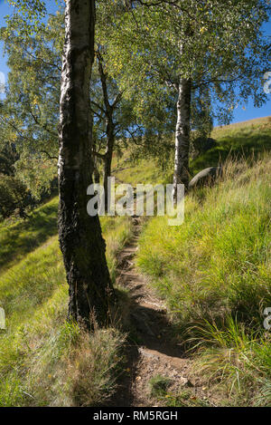 Chemin sur une colline près de Dove réservoir en pierre, Greenfield, Peak District, l'Angleterre. Banque D'Images