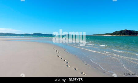 Empreintes de pas sur la plage, Whitehaven Beach Australie Banque D'Images