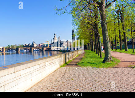 Près des rives de la rivière de l'Elbe à Dresde, en Allemagne. Ruelle pavée avec de nombreux grands arbres avec des feuilles vertes éclatantes. Un jour de printemps. Avis sur l'anc Banque D'Images