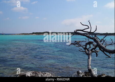 Amazing Golf de Sperone en Corse Banque D'Images