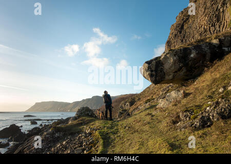 Chien avec personne à admirer les colonnes de basalte dans les falaises à Carsaig promenade côtière sur l'île de Mull, en Ecosse Banque D'Images