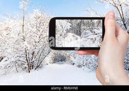 Concept de voyages touristiques - photographies de branches couvertes de neige au parc de la ville en hiver matin sur smartphone à Moscou, Russie Banque D'Images