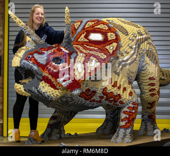 Briques lumineuses membre du personnel Zoe Aris travaille sur l'un des dinosaures de la brique LEGO fait de la presse au cours d'un essai de zoo de Marwell de neuf à Brickosaurs Lego briques lumineuses dans l'AC BORDON, HAMPSHIRE. Banque D'Images