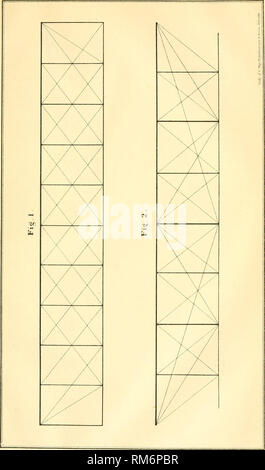 . Rapport annuel de l'American Institute, de la ville de New York. La science. . Veuillez noter que ces images sont extraites de la page numérisée des images qui peuvent avoir été retouchées numériquement pour plus de lisibilité - coloration et l'aspect de ces illustrations ne peut pas parfaitement ressembler à l'œuvre originale.. Institut américain de la ville de New York. [S. l.  : S. n. ] Banque D'Images