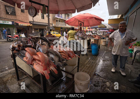 Medellin, Colombie - le 26 juillet 2018 : marché aux poissons en plein air au Prado de la ville Banque D'Images