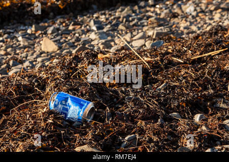 Soft drink peut jeter sur la côte près de Dalby, l'Irlande du Nord Banque D'Images