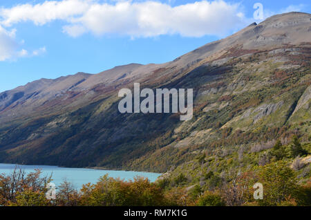 Pente de montagne boisée dans la rive du lac Argentino, le Lac du Parc National Los Glaciares, Argentine Banque D'Images