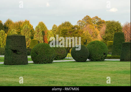 En forme d'arbustes taillés et dans les jardins du palais de Schönbrunn à Vienne, Autriche Banque D'Images