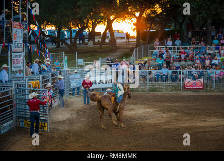 Une selle bronc rider s'effectue à l'arrêt en cas de rodéo Texas USA Banque D'Images