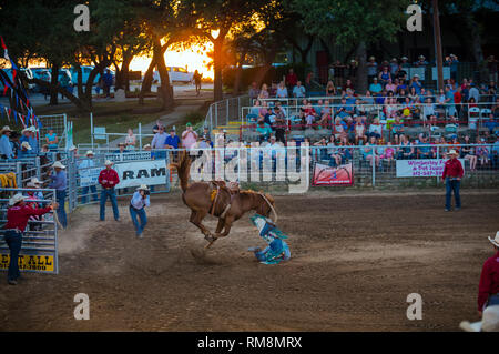 Une selle bronc rider s'effectue à l'arrêt en cas de rodéo Texas USA Banque D'Images