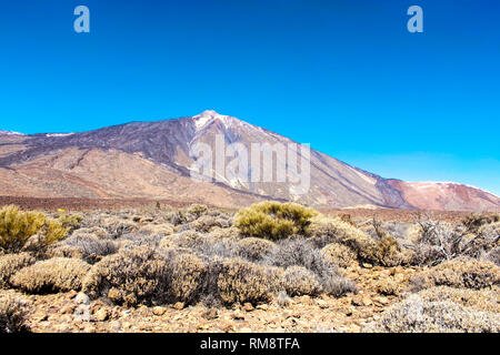 Parque Nacional del Teide, Tenerife Banque D'Images