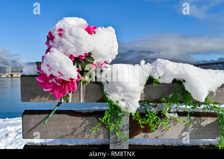 Fleurs en plastique memorial on park bench with snow Banque D'Images