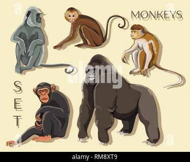 Différents types de singes. Illustration vectorielle, EPS 10 Illustration de Vecteur