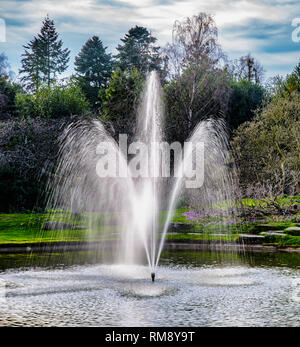 Belles fontaines dans un parc Banque D'Images