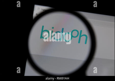 Site web Bidooh vu à travers une loupe sur l'écran d'un ordinateur Banque D'Images
