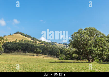 Vue de la campagne australienne dans la partie supérieure de la Hunter Valley, Nouvelle-Galles du Sud, Australie. Banque D'Images