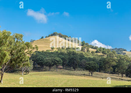 Vue de la campagne australienne dans la partie supérieure de la Hunter Valley, Nouvelle-Galles du Sud, Australie. Banque D'Images