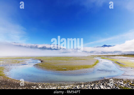 Paysages d'été inhabituelle de l'Alaska, United States. Banque D'Images