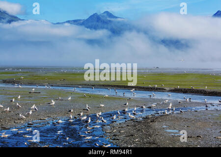 Paysages d'été inhabituelle de l'Alaska, United States. Banque D'Images