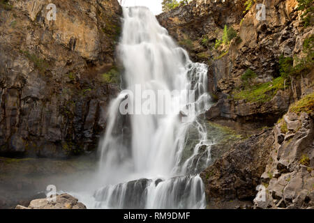 WY03708-00...WYOMING - Osprey Falls sur la rivière Gardner dans le Parc National de Yellowstone. Banque D'Images