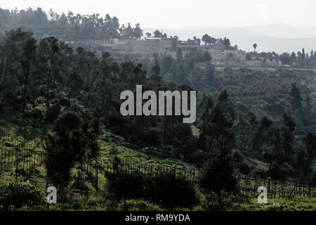 Abu Gosh, Israël. 14 Février, 2019. Niché dans les collines de Judée entre le village israélien arabe d'Abu Gosh et le peuple juif Kibbutz Maale Hahamisha, à un emplacement associé à la conception biblique de l'emplacement de Kiryat Yaarim dans lequel l'arche de l'Alliance était garé avant d'être porté à Jérusalem par le roi David, sur le chemin d'Emmaüs Nicopolis Emmaüs qui se rend à Jérusalem, Saxum, un nouveau centre d'accueil Chrétien ouvre ses portes aux visiteurs. Credit : Alon Nir/Alamy Live News Banque D'Images