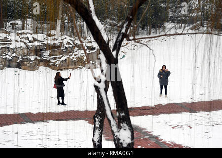 Jinan, Chine, la province de Shandong. Feb 14, 2019. Les visiteurs de prendre des photos à Quancheng park à Jinan City, Shandong Province de Chine orientale, le 14 février 2019. Credit : Xie Yongliang/Xinhua/Alamy Live News Banque D'Images