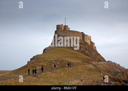 Château de Lindisfarne, Holy Island, Northumberland, England, UK. 14 février 2019. Des centaines de visiteurs se rendent sur l'Île Sainte, comme échafaudage a finalement été retiré de l'extérieur des murs du château après quatre années de rénovation et travaux de conservation. Le coût du travail plus de trois millions de livres et a impliqué la suppression et la restauration de 108 fenêtres. Credit : Arch White/Alamy Live News Banque D'Images