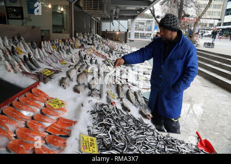 Ankara, Turquie. Feb 13, 2019. Un détaillant vend des fruits de mer les poissons à un marché à Ankara, Turquie, le 13 février 2019. Le lundi, des ventes visant à réduire les prix des denrées alimentaires ont commencé à Istanbul et Ankara, la Turquie est plus grandes villes, avec des personnes faisant la queue pour acheter quelques kilos de fruits et légumes à la moitié des prix du marché, a fait savoir la presse locale. Pour aller à l'aide de 'Spotlight : gouvernement turc luttes contre la flambée des prix à l'avance de crédit des sondages : Mustafa Kaya/Xinhua/Alamy Live News Banque D'Images