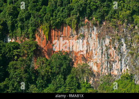 Les forêts tropicales s'accroche à la formations karstiques qui s'élèvent de LAC CHEOW LAN dans le parc national de Khao Sok - Thaïlande Banque D'Images